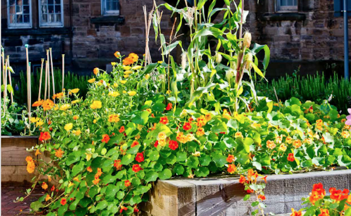 Green ways to health