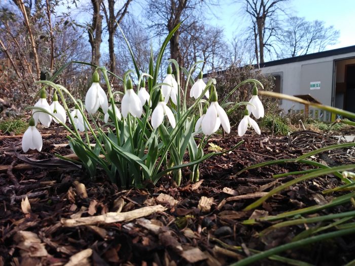 NHS Lothian publishes groundbreaking biodiversity audit