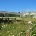 Wildflowers outside Midpark Hospital Dumfries